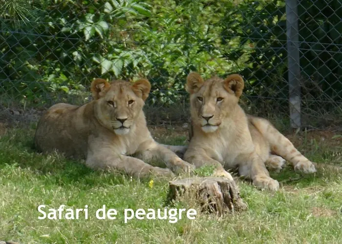 Appartement Des Ecoles